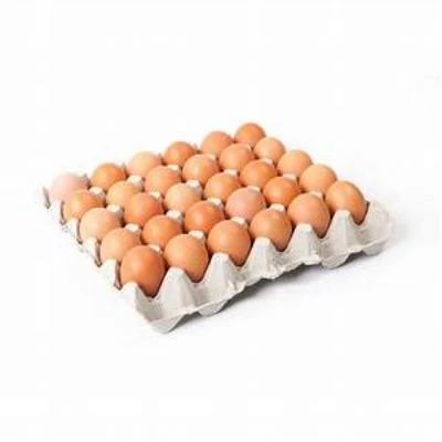 Urja Eggs Brown Egg Tray 30 Pc