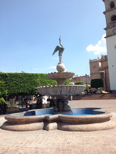 Fuente De La Garza