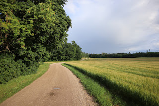 kruusatee Kassinurme lähedal