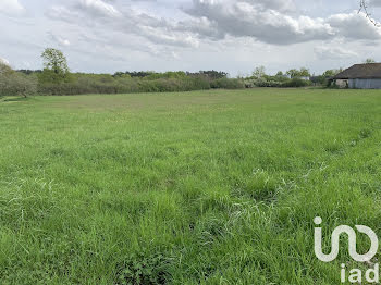 terrain à Romorantin-Lanthenay (41)