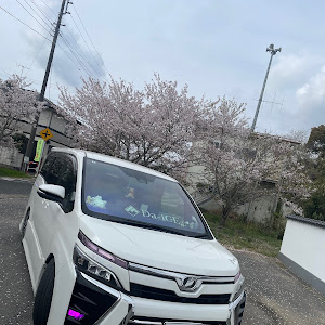 ヴォクシー ZRR80W