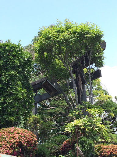 Torii