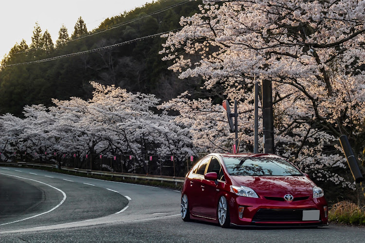 プリウスの桜と愛車・プリウス・30プリウスに関するカスタム事例の投稿画像2枚目