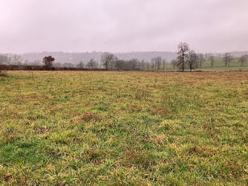 terrain à Jussac (15)