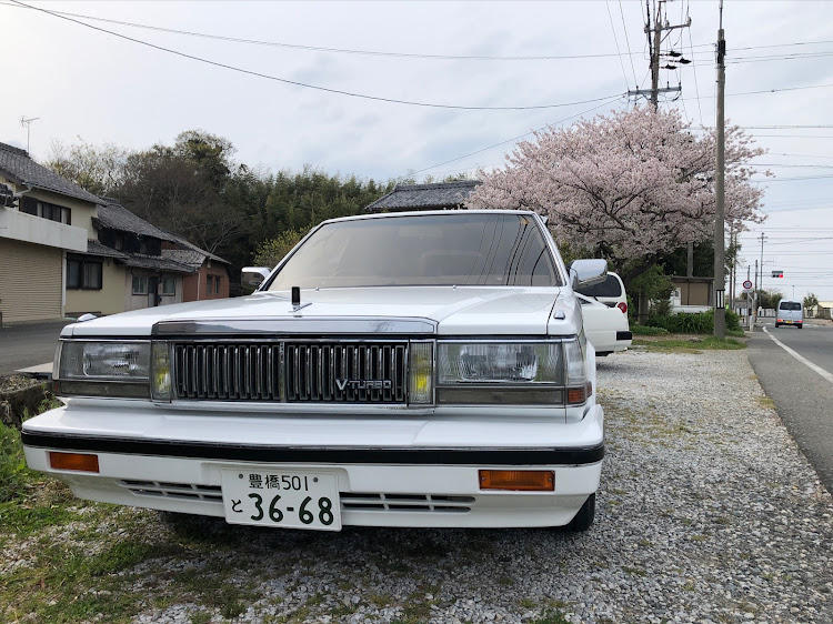 フェアレディZの桜とコラボ🌸・サクラと愛車・Y 30・z31に関するカスタム事例の投稿画像8枚目