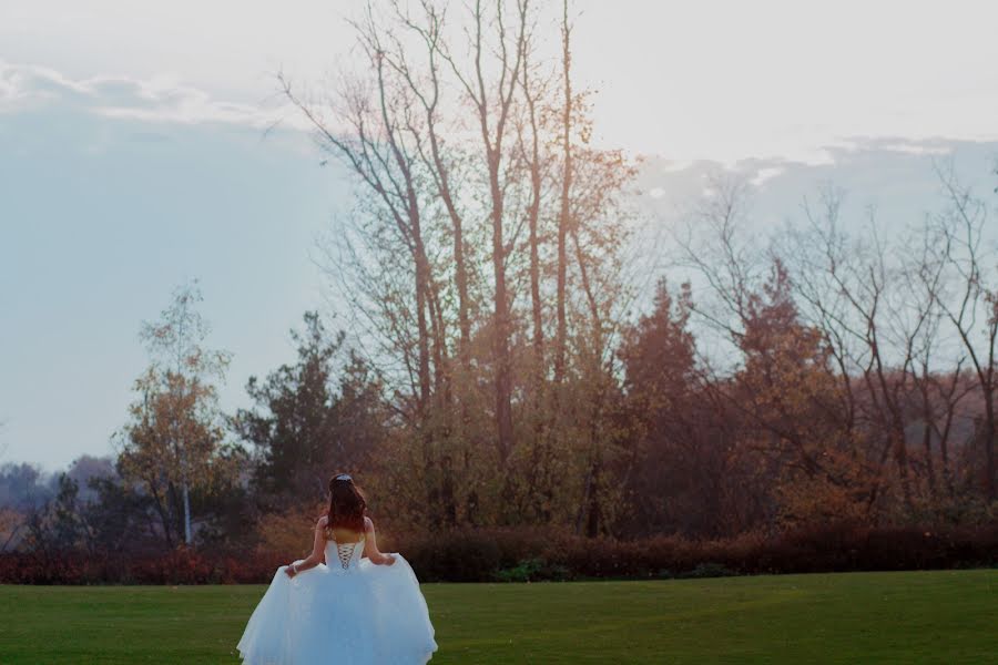 Fotógrafo de casamento Aleksey Shvec (alexshvec). Foto de 17 de agosto 2019