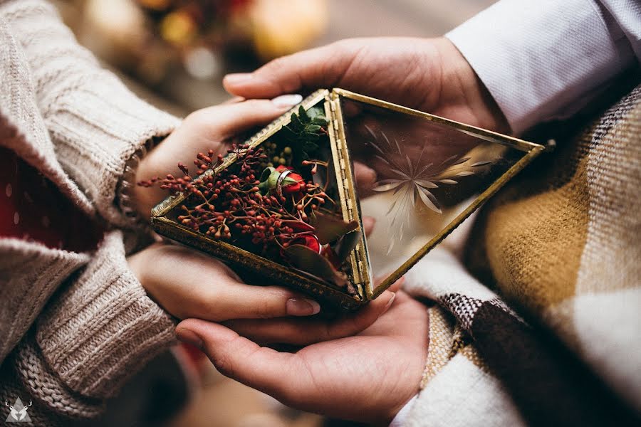 結婚式の写真家Karina Bondarenko (bondarenkokarin)。2016 1月26日の写真