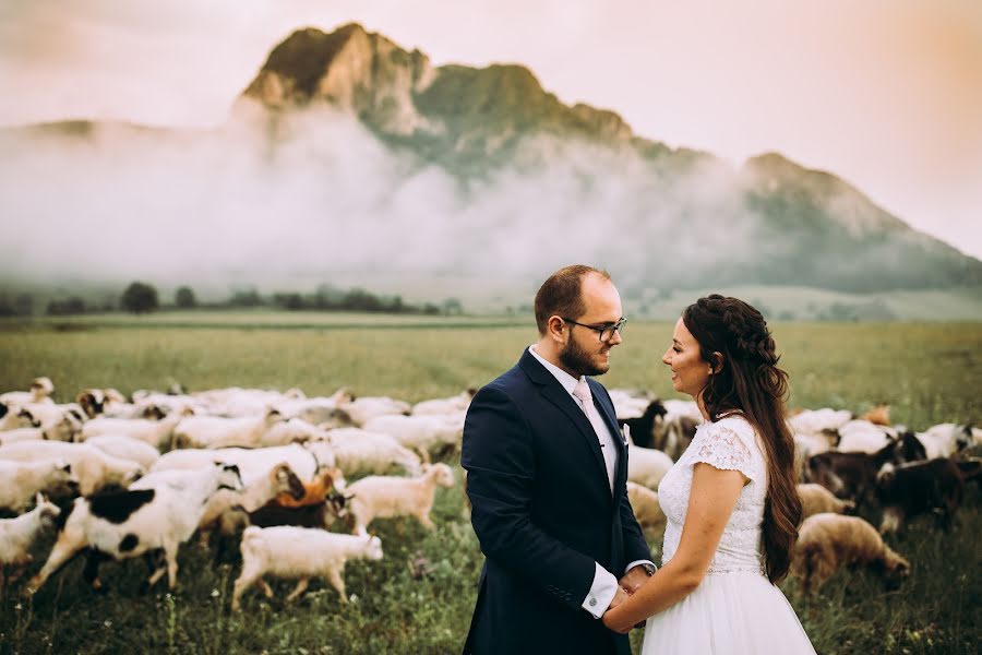 Wedding photographer Haitonic Liana (haitonic). Photo of 12 June 2018