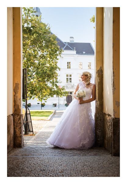 Wedding photographer Kristýna Krejčířová (photokristyna). Photo of 20 January 2020