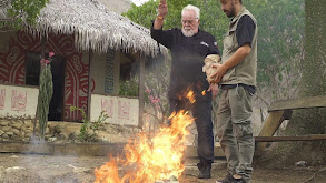 Coastal Manabí Cuisine thumbnail