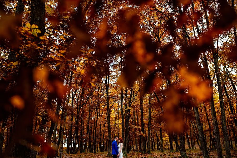 Photographe de mariage Casian Podarelu (casian). Photo du 20 novembre 2016