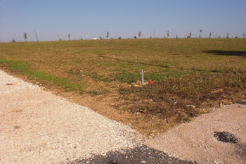 terrain à La Selle-sur-le-Bied (45)