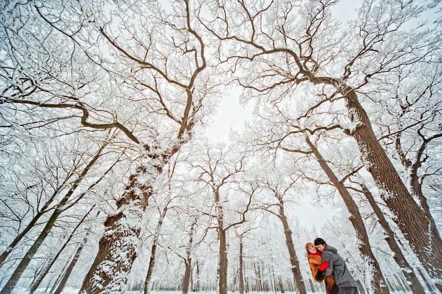 Fotografo di matrimoni Svitlana Minakova (minakova). Foto del 13 gennaio 2017