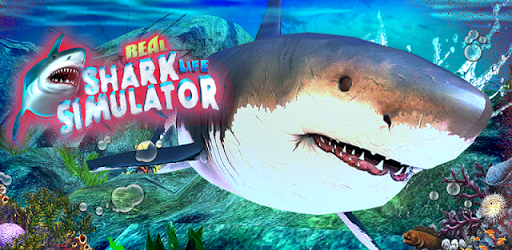 Real Shark Life - Shark Sim