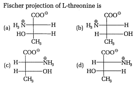 Amino Acids