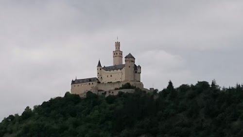 20-05-2016: BUENOS DÍAS DESDE COBLENZA. LOS CASTILLOS DEL RHIN ROMÁNTICO - CRUCERO POR EL RHIN ROMÁNTICO Y EL MOSELA. FIN DE FIESTA EN DISNEYLAND PARIS (29)