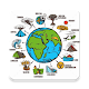 Download Geography Quiz For PC Windows and Mac 1.0.0