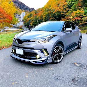 C-HR ZYX10