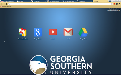 Georgia Southern University Theme