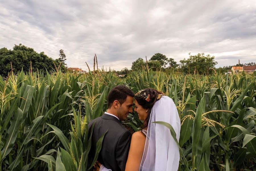 ช่างภาพงานแต่งงาน Nuno Lopes (nunolopesphoto) ภาพเมื่อ 26 มิถุนายน 2019