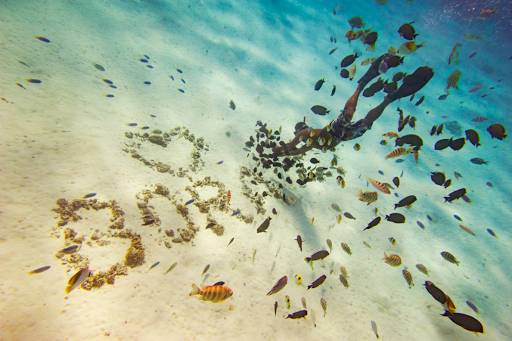 Dive into the clear waters of Bora Bora in the South Seas on your Ponant luxury cruise.