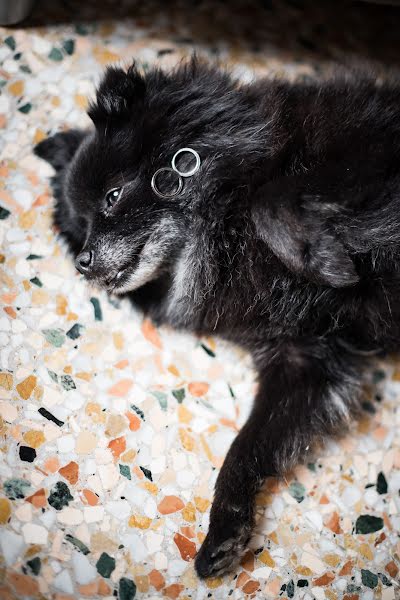 Fotografo di matrimoni Larisa Paschenko (laraphotographer). Foto del 27 ottobre 2018