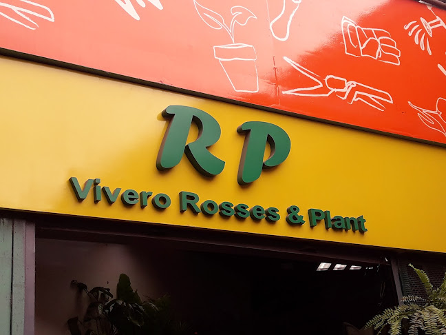 RP Vivero Rosses & Plant - Callao