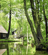 The waters of the Spreewald.