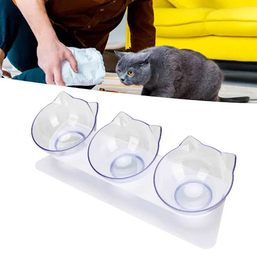 Cat Bowls Cat Raised Feeder Bowl 3 Bowls Transparent Detachable Cervical Spine Protection Elevated Cat Food Bowls for Pe
