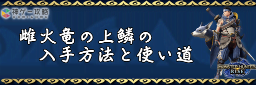 雌火竜の上鱗