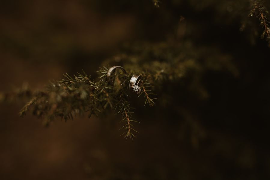 Fotografer pernikahan Ioana Si George Benghia (wandery). Foto tanggal 14 Januari 2020