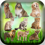 Cover Image of Скачать Femelle des animaux - Nom des animaux en français 0.0.3.0 APK