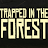 Trapped in the Forest icon