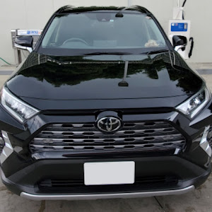 RAV4 MXAA54