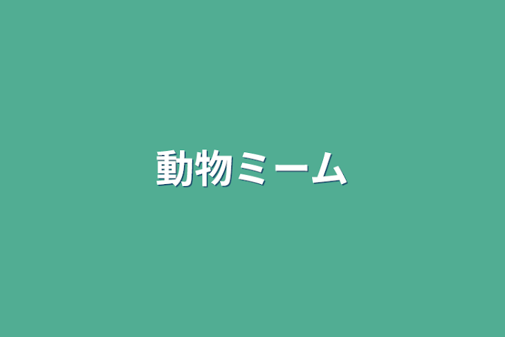 「動物ミーム」のメインビジュアル