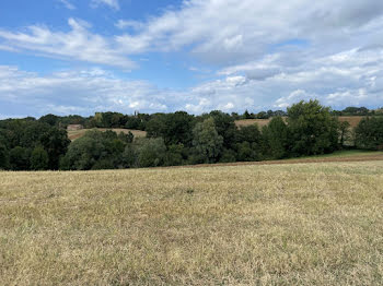 terrain à Montfa (81)