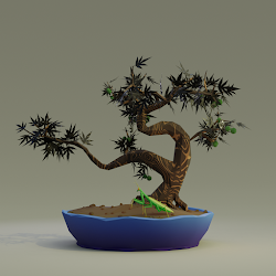 Bonsai #5593