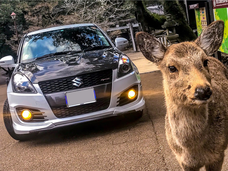 スイフトのドライブ・奈良公園・スイスポに関するカスタム事例の投稿画像1枚目