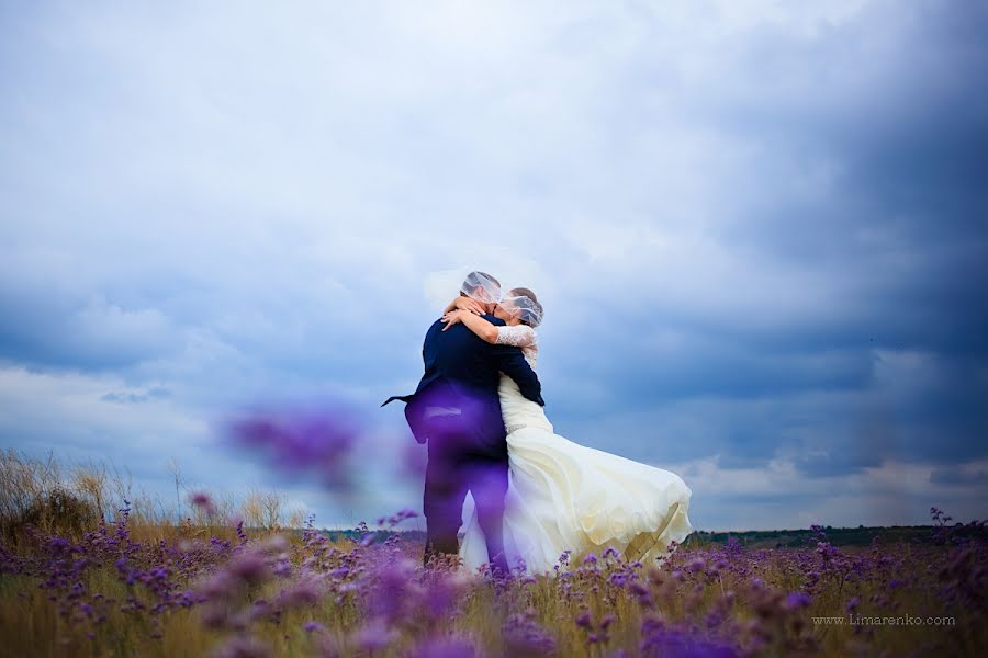 Wedding photographer Darina Limarenko (andriyanova). Photo of 15 October 2013