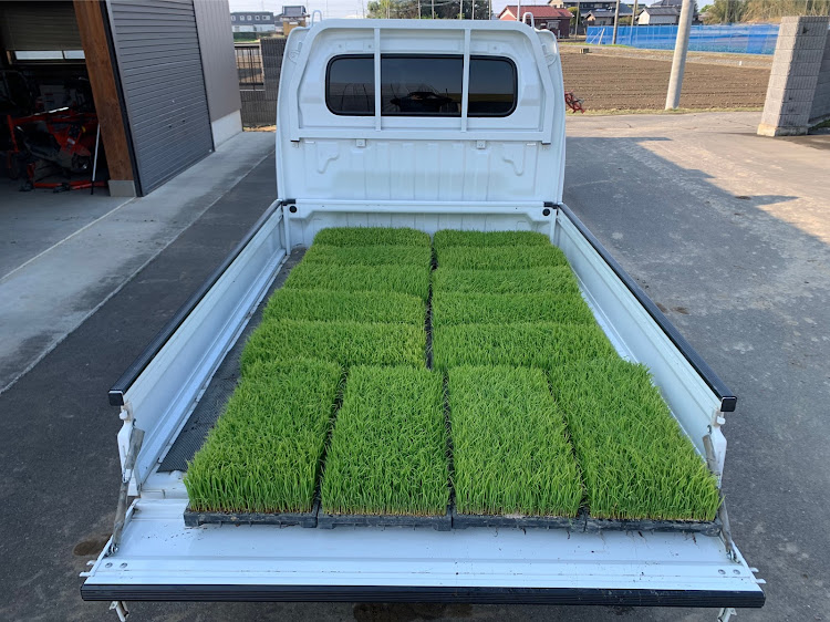 キャリイの田植え機・田植え・アリスマ５号機・海鮮三崎港・働くクルマはカッコいいに関するカスタム事例の投稿画像3枚目