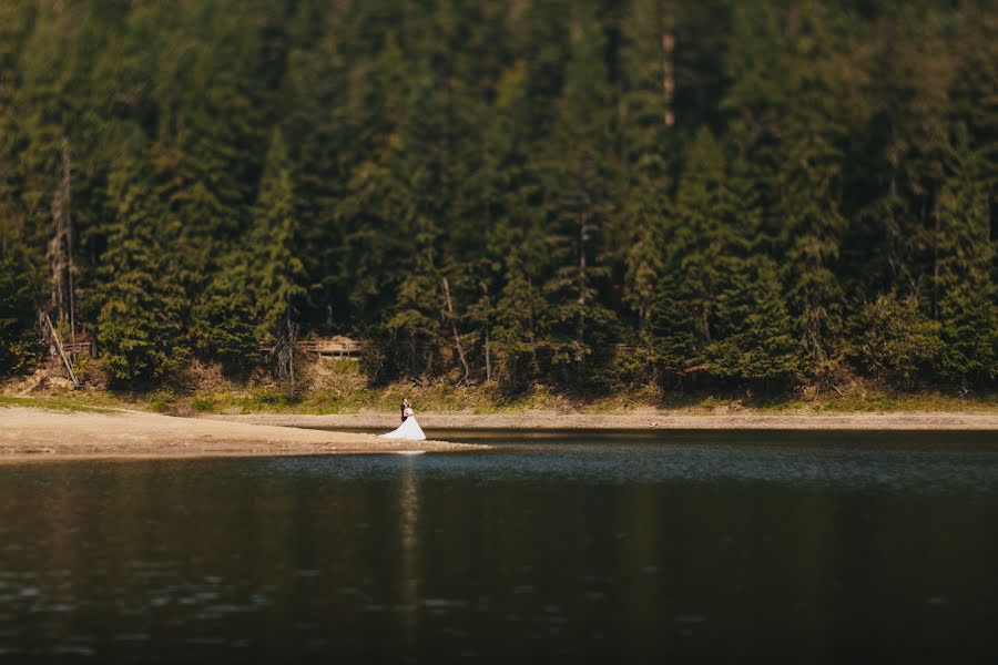 Fotógrafo de casamento Svetlana Yakusheva (svetayak). Foto de 29 de novembro 2015