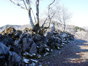 林道脇には石灰岩