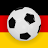 Football League: Bundesliga icon