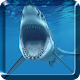 Download Shark Live Wallpaper For PC Windows and Mac 1.0