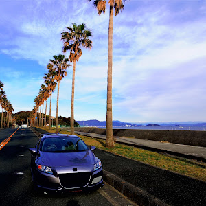 CR-Z ZF1
