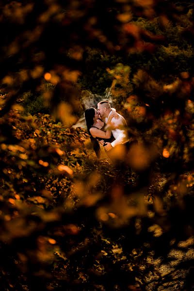 Fotógrafo de casamento Norbert Holozsnyai (hnfoto). Foto de 7 de setembro 2022