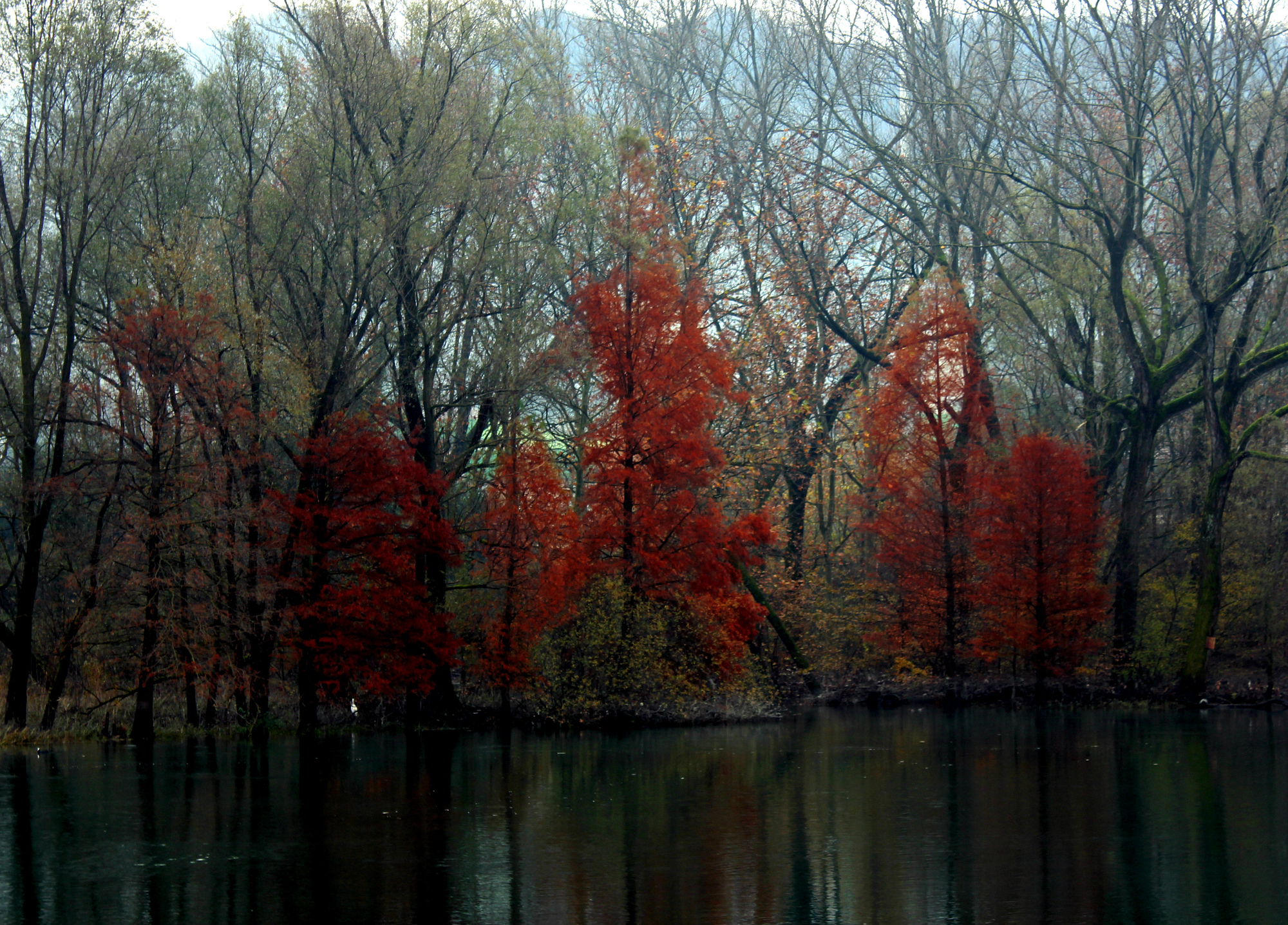 Autumn di utente cancellato