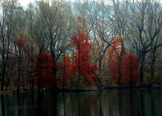 Autumn di utente cancellato