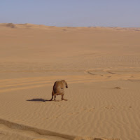 kea ispirata nel deserto di 