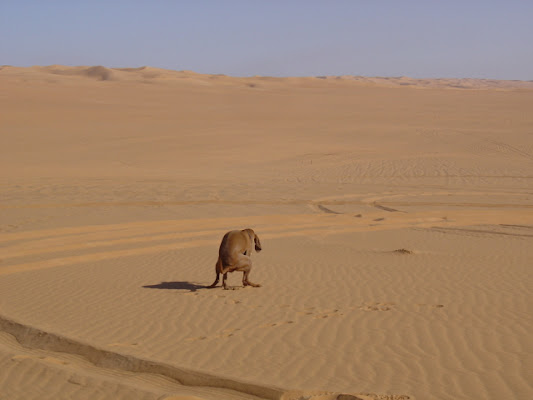 kea ispirata nel deserto di enfa